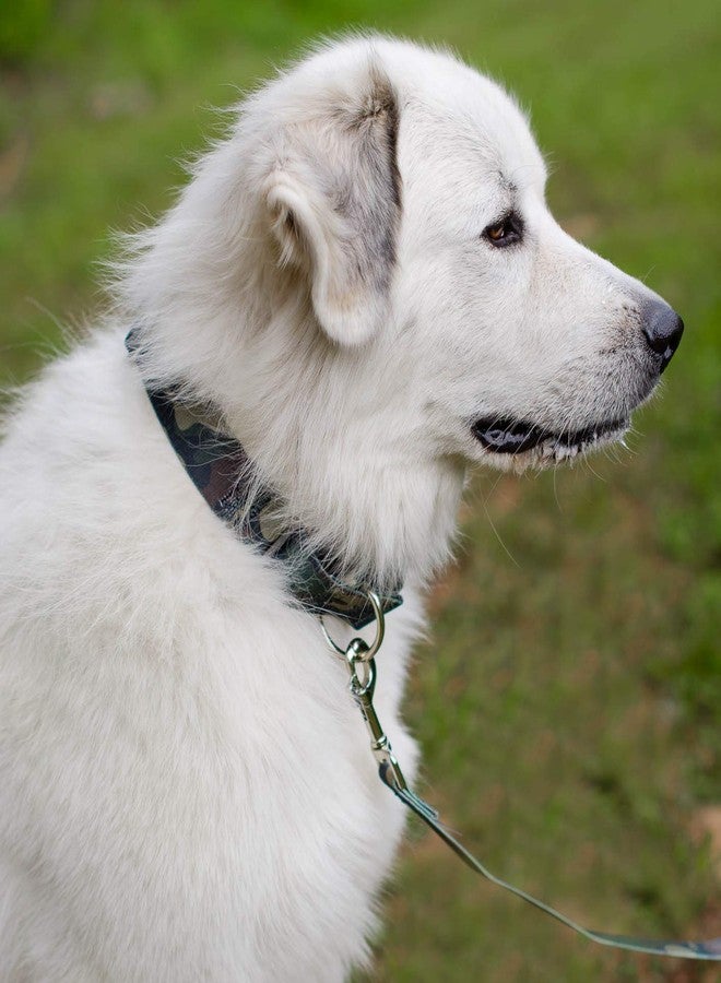 كانتري بروك ديزاين طوق ومقود للكلاب من Country Brook Petz - بنمط التمويه الخشبي - مجموعة التمويه التي تتميز بتصاميم متينة (1 بوصة، كبير) - Image 2